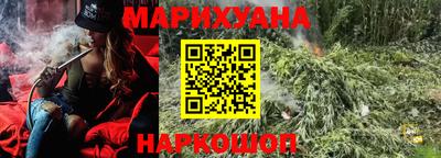 гидропоника Новозыбков