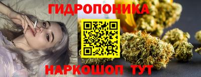 гидропоника Новозыбков