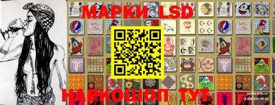 гидропоника Новозыбков