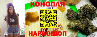 гидропоника Новозыбков