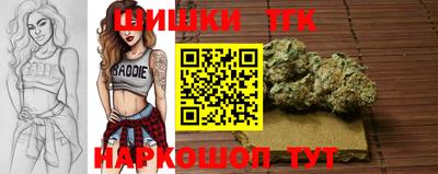 амф Новокубанск
