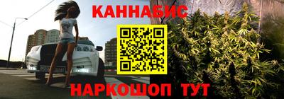 амф Новокубанск