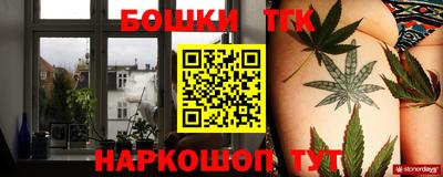 гидропоника Новозыбков