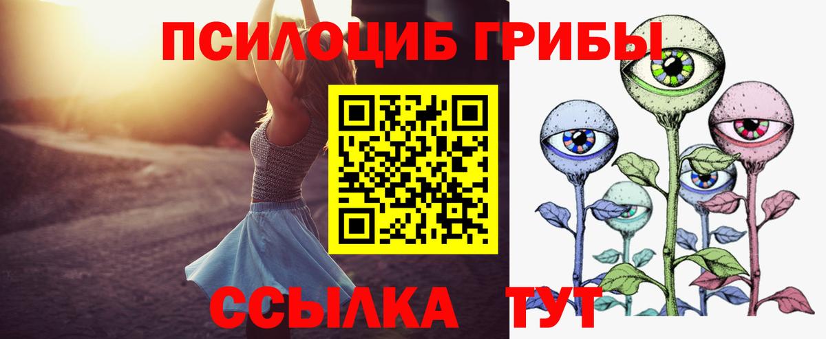 Псилоцибиновые грибы Psilocybine cubensis Сердобск