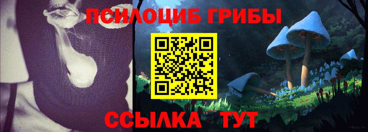 Галлюциногенные грибы прущие грибы  Галлюциногенные грибы ЛСД  Сердобск  Вход с VPN 